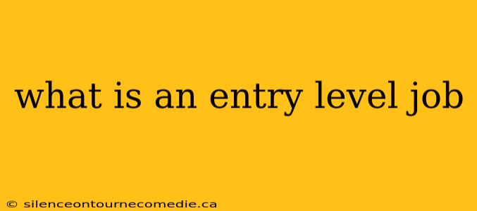 what is an entry level job