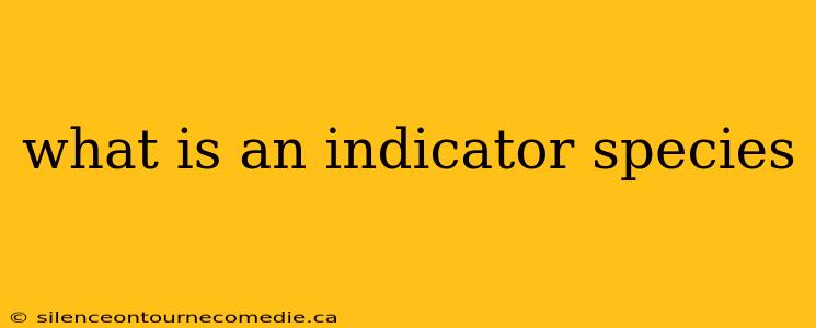 what is an indicator species