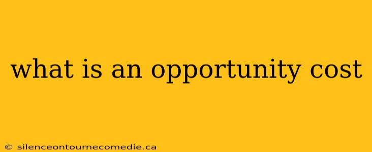 what is an opportunity cost