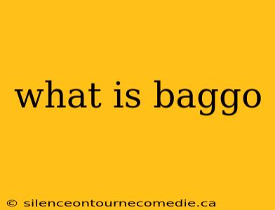 what is baggo