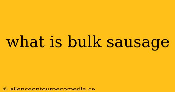 what is bulk sausage