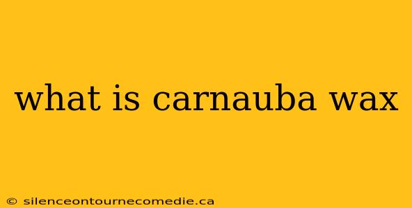 what is carnauba wax