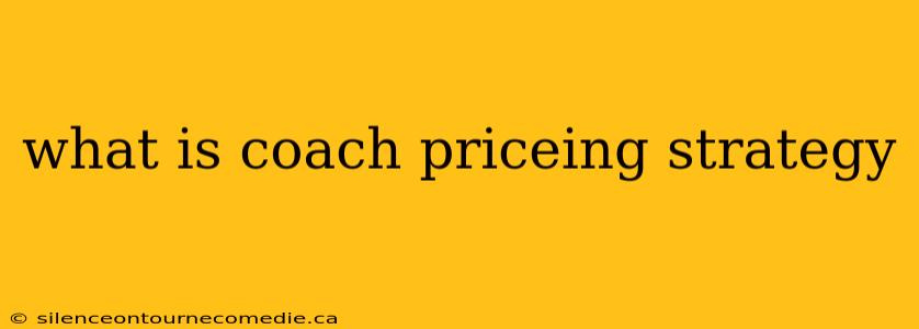 what is coach priceing strategy