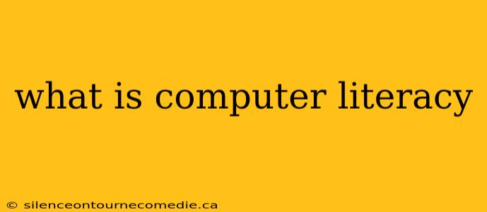 what is computer literacy