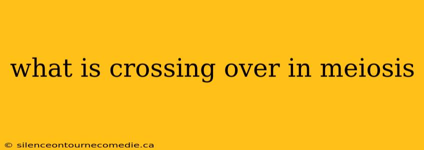 what is crossing over in meiosis