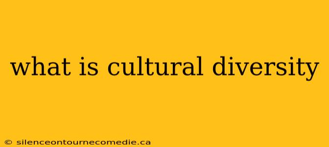 what is cultural diversity
