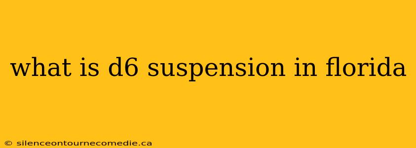 what is d6 suspension in florida