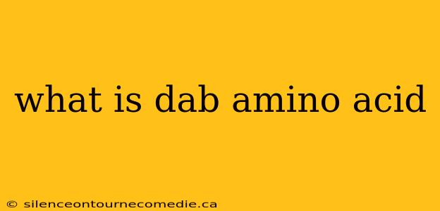 what is dab amino acid