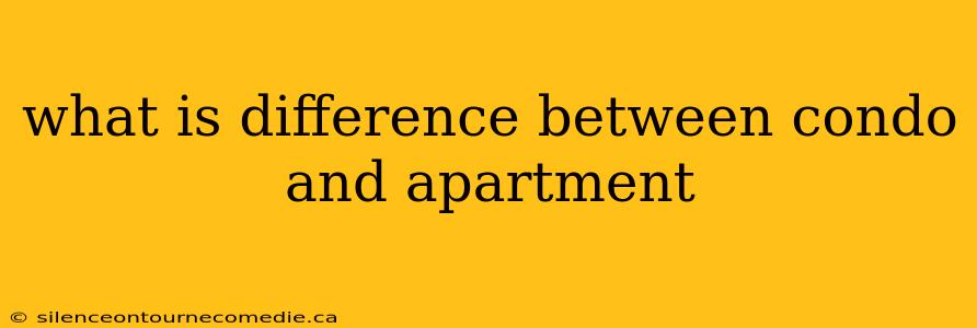 what is difference between condo and apartment