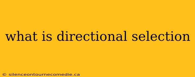 what is directional selection