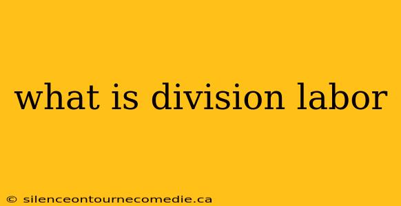 what is division labor