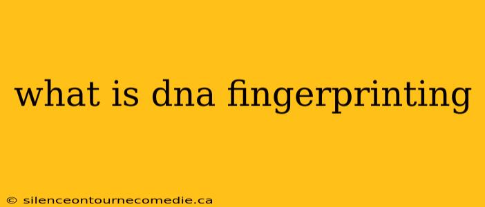 what is dna fingerprinting