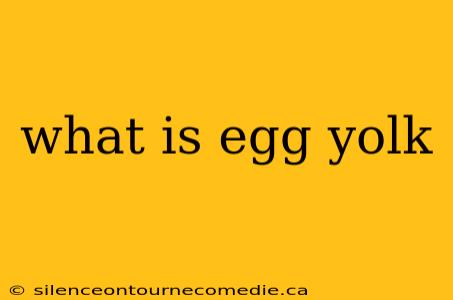 what is egg yolk