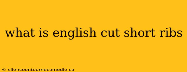 what is english cut short ribs
