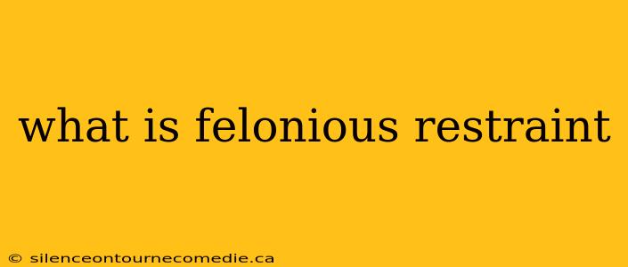 what is felonious restraint