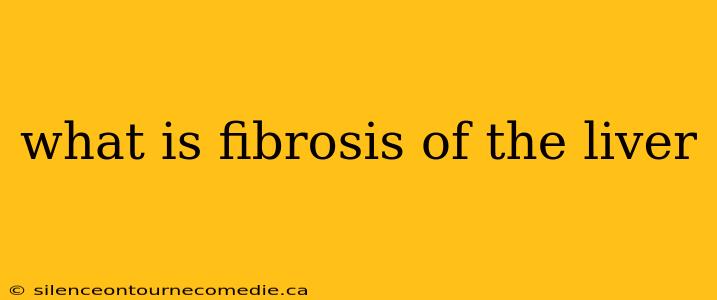 what is fibrosis of the liver