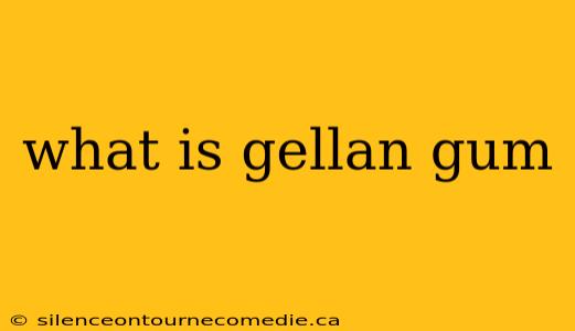 what is gellan gum