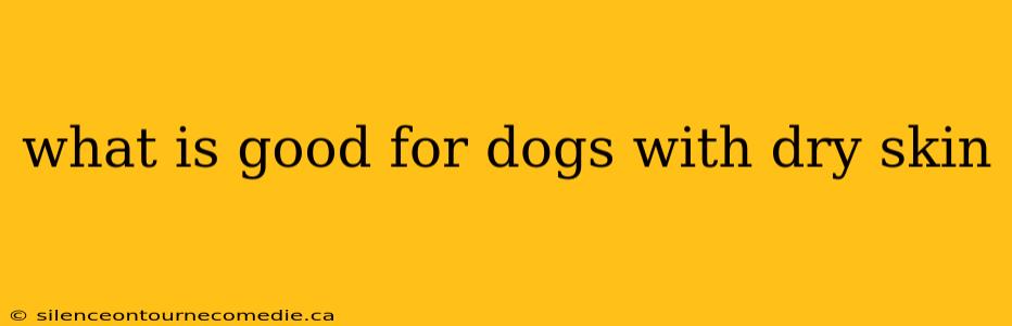 what is good for dogs with dry skin
