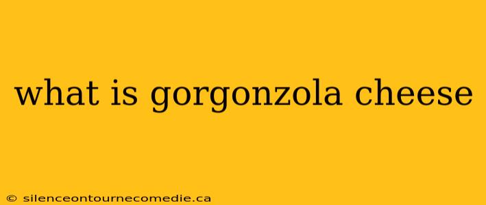 what is gorgonzola cheese