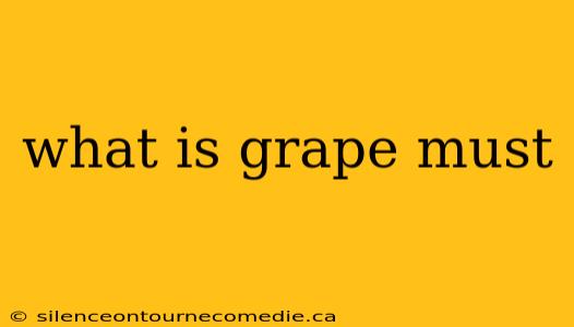 what is grape must