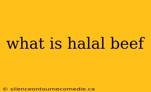 what is halal beef