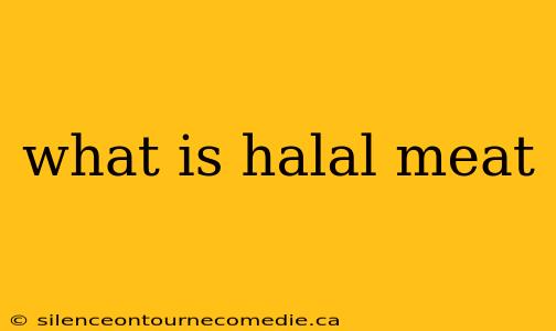 what is halal meat