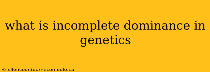 what is incomplete dominance in genetics