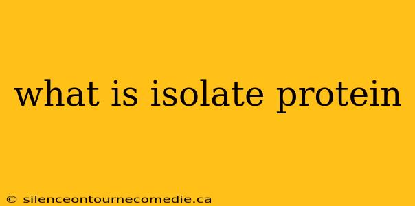 what is isolate protein