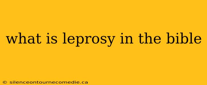 what is leprosy in the bible