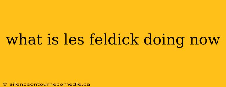 what is les feldick doing now