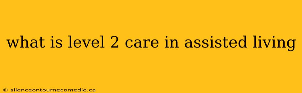 what is level 2 care in assisted living