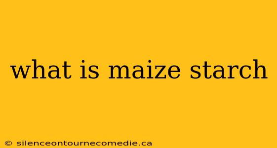 what is maize starch