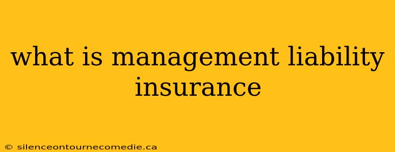 what is management liability insurance