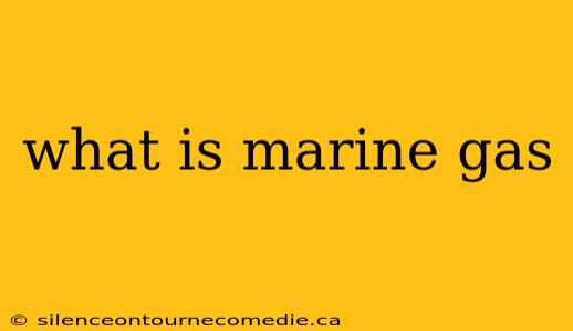 what is marine gas
