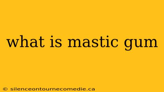 what is mastic gum