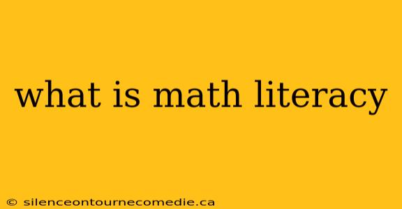 what is math literacy