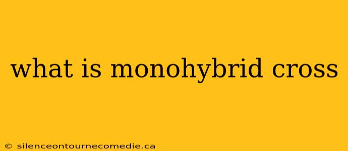 what is monohybrid cross