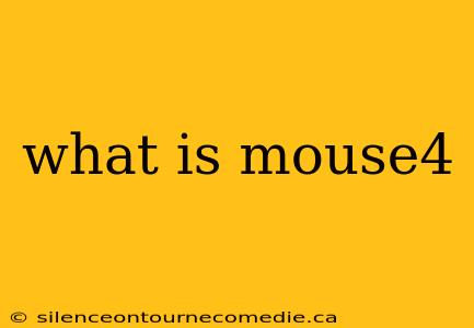 what is mouse4
