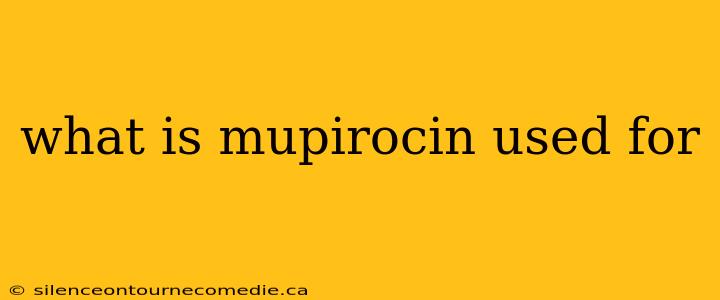what is mupirocin used for