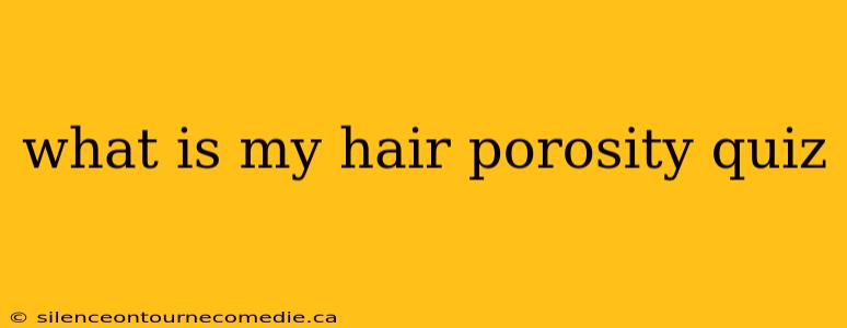what is my hair porosity quiz