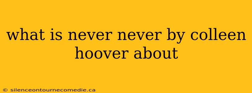 what is never never by colleen hoover about