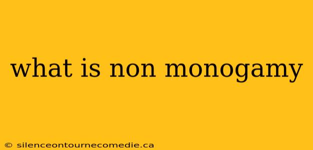 what is non monogamy