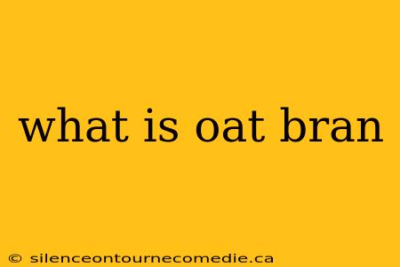 what is oat bran