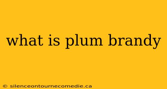what is plum brandy
