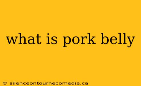 what is pork belly