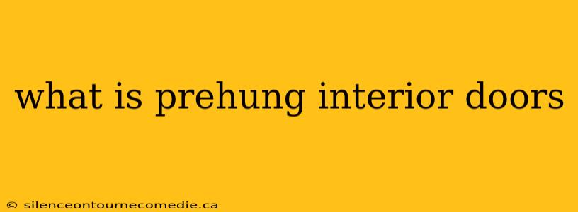 what is prehung interior doors