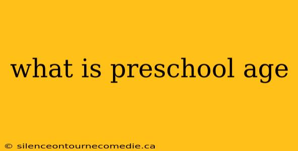 what is preschool age