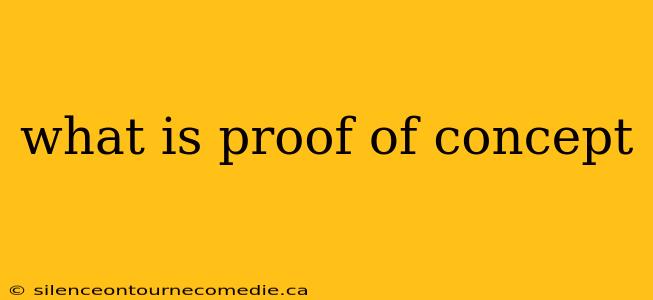 what is proof of concept