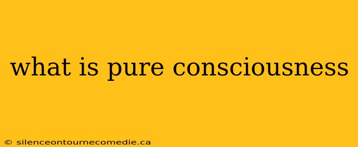 what is pure consciousness