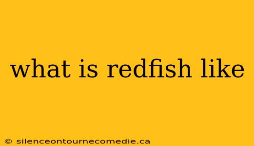 what is redfish like